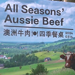 AMB X TIQ 澳洲牛肉四季餐桌
