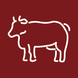 Beef