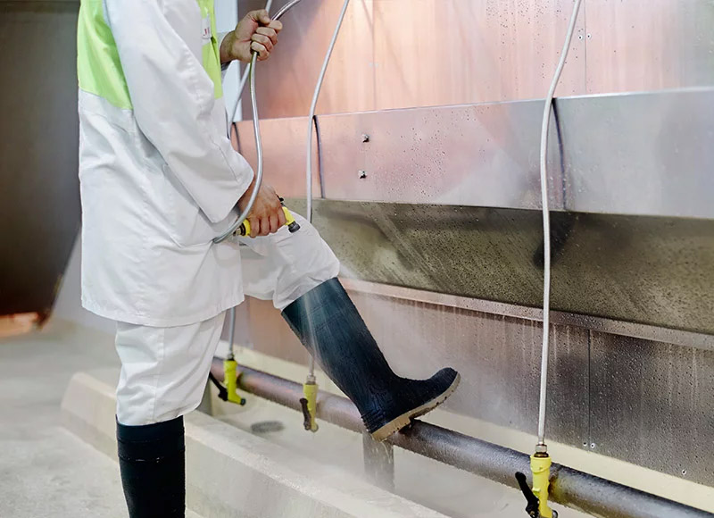 澳洲肉品標準 MSA 有何獨特之處？