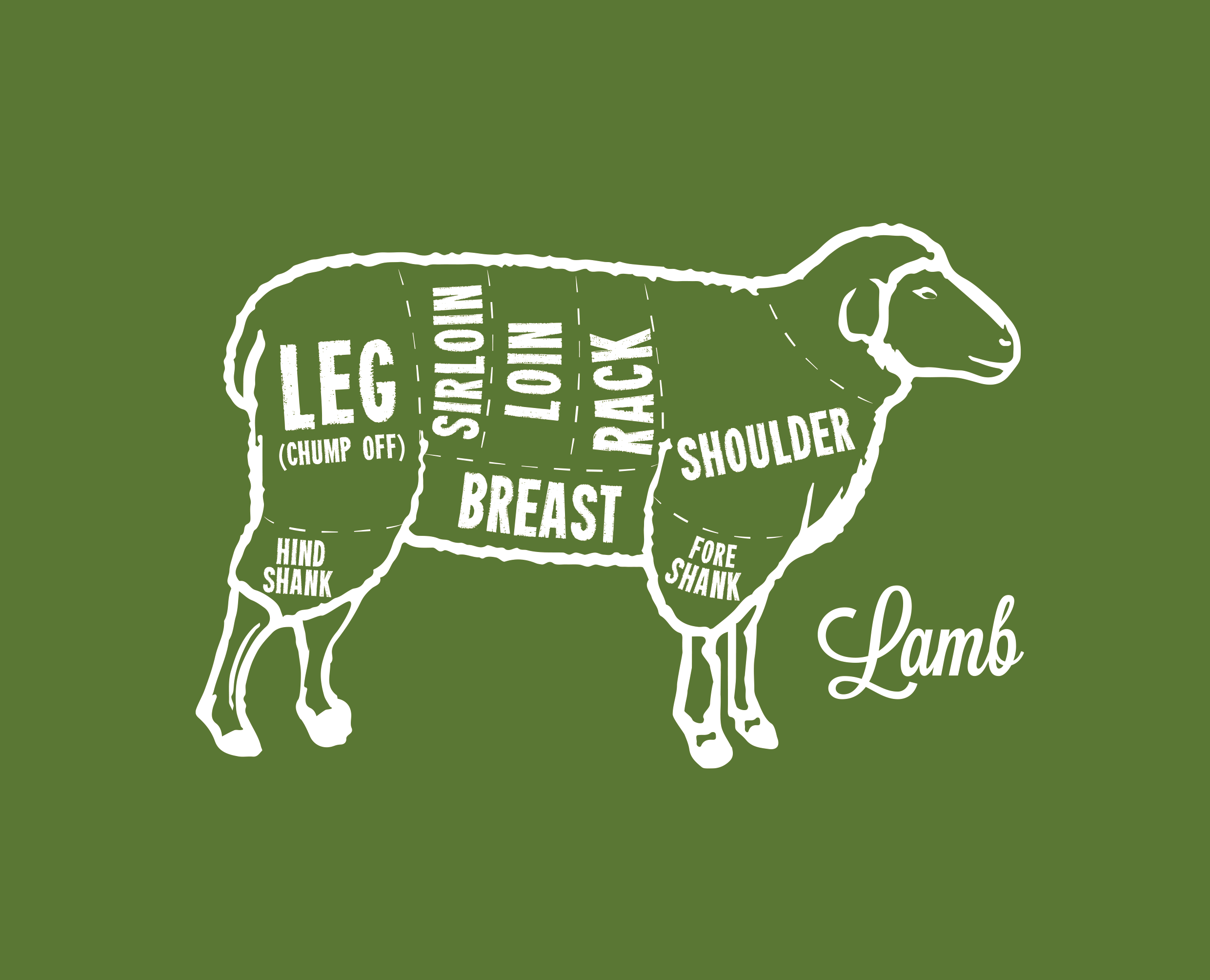 澳洲小羊肉分切示意圖