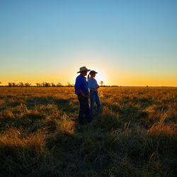 澳洲牛羊肉產業的未來藍圖：打造永續、美味、值得信賴的全球標竿