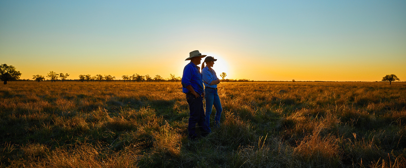 《2030 年策略計畫》